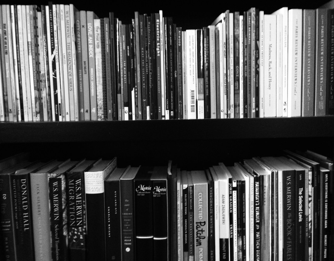 Poetry Shelves 2, December 2013