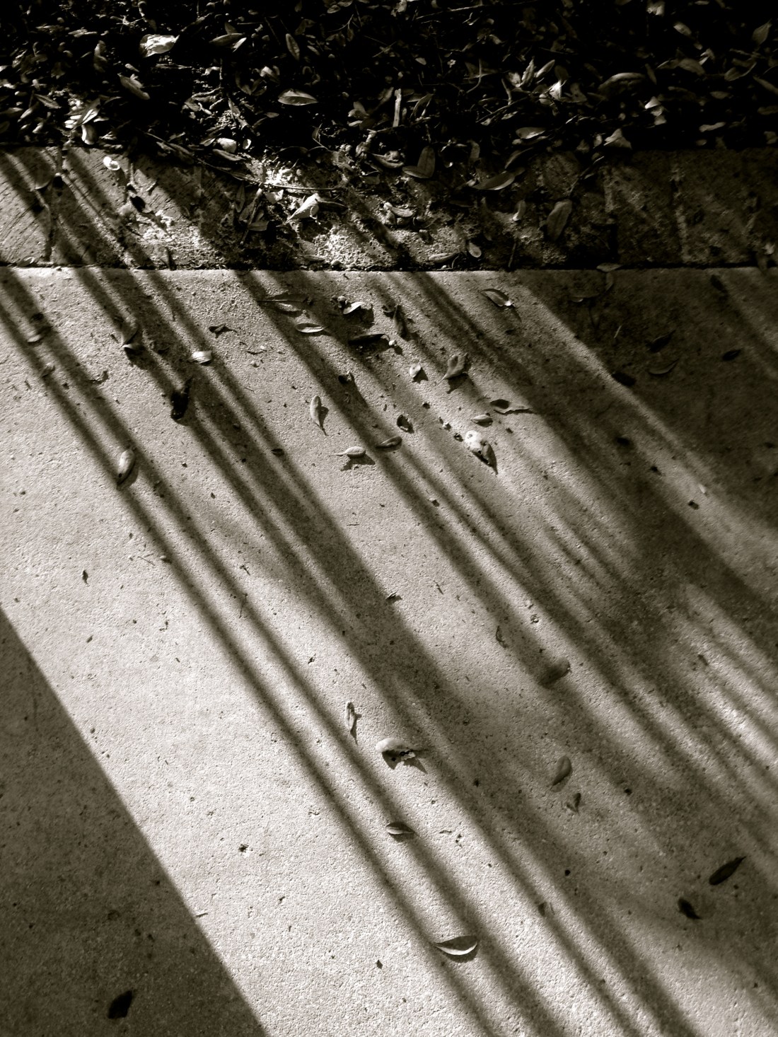 How light and line work together