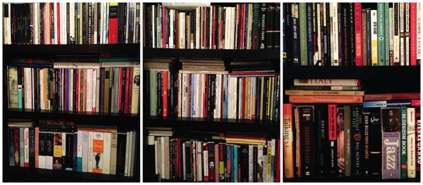 bookshelves January 2015 B