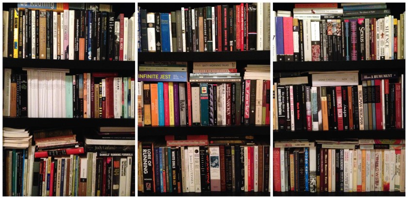 bookshelves January 2015